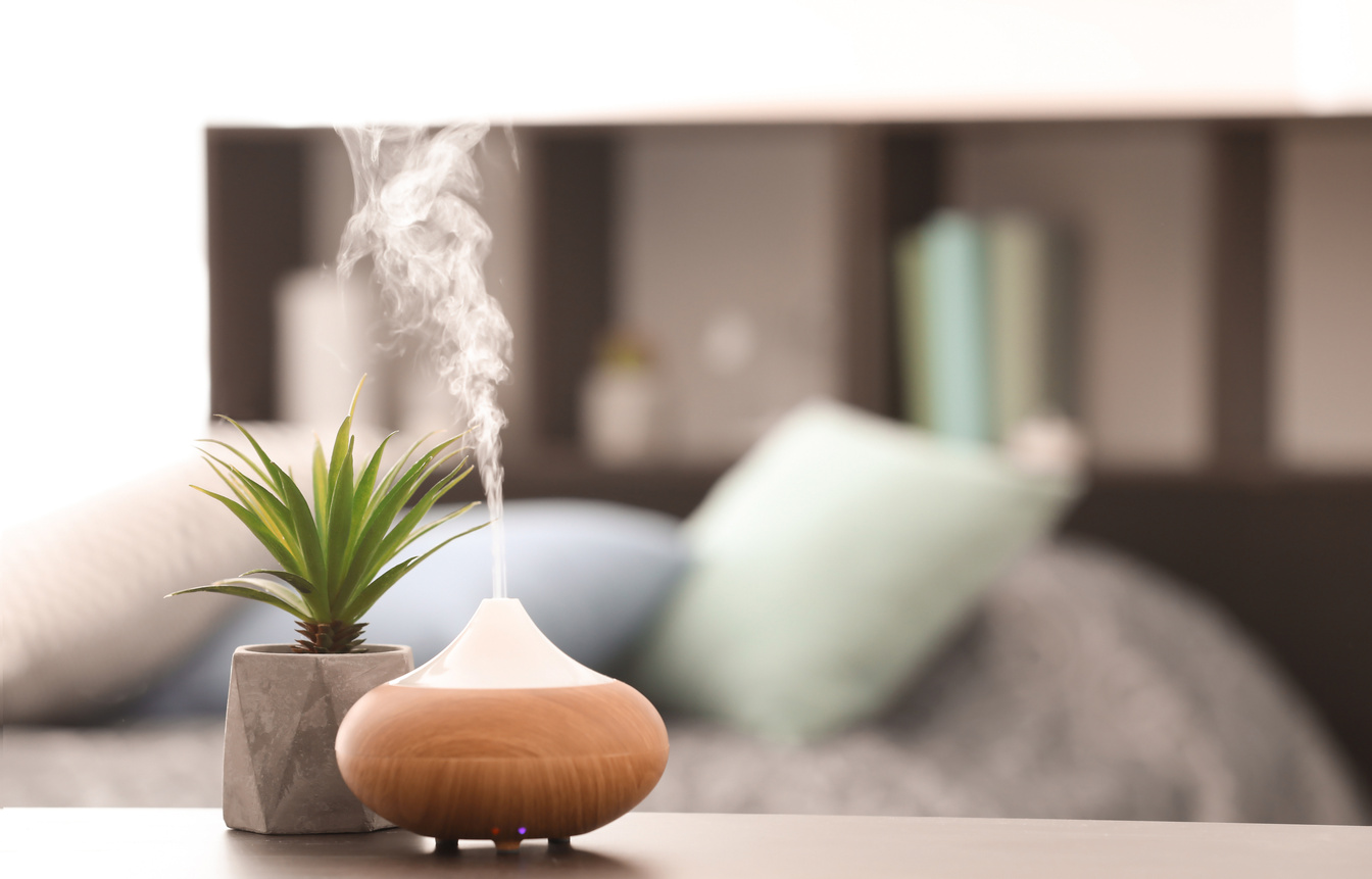 Essential Oil Diffuser and Houseplant on the Table